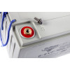 Тяговый аккумулятор RuTrike 6-EVF-100 (12V100A/H C3)