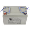 Тяговый аккумулятор RuTrike 6-EVF-100 (12V100A/H C3)