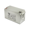 Тяговый аккумулятор RuTrike 6-EVF-120 (12V120A/H C3)