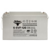 Тяговый аккумулятор RuTrike 6-EVF-120 (12V120A/H C3)