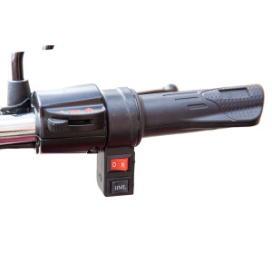 Грузовой электротрицикл Rutrike Антей Pro 1500 60V1200W