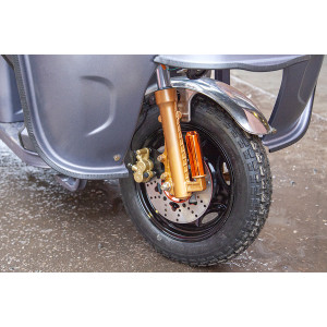 Грузовой электротрицикл Rutrike Глобус 1500 60V/1000W Грузовой электротрицикл Rutrike Глобус 1500 60V/1000W