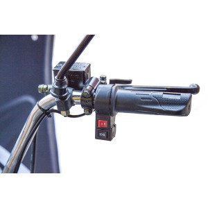 Грузовой электротрицикл Rutrike Глобус 1500 60V/1000W Грузовой электротрицикл Rutrike Глобус 1500 60V/1000W